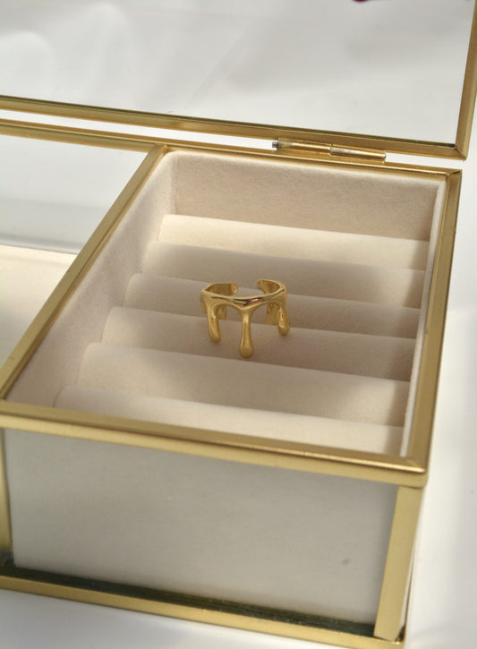 ANILLO DERRETIDO